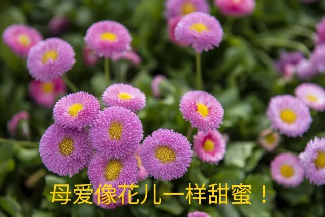 普通的菜里有满满的爱,简单的饭菜真诚的友谊