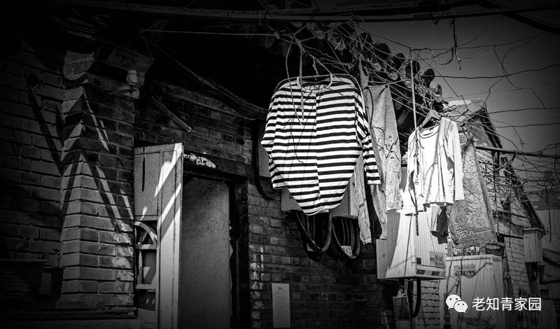 1983女知青,一个女知青的三十年坎坷经历