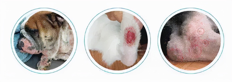 闅忔荡鑰屽畨缁甸槼,闅忛亣鑰屽畨