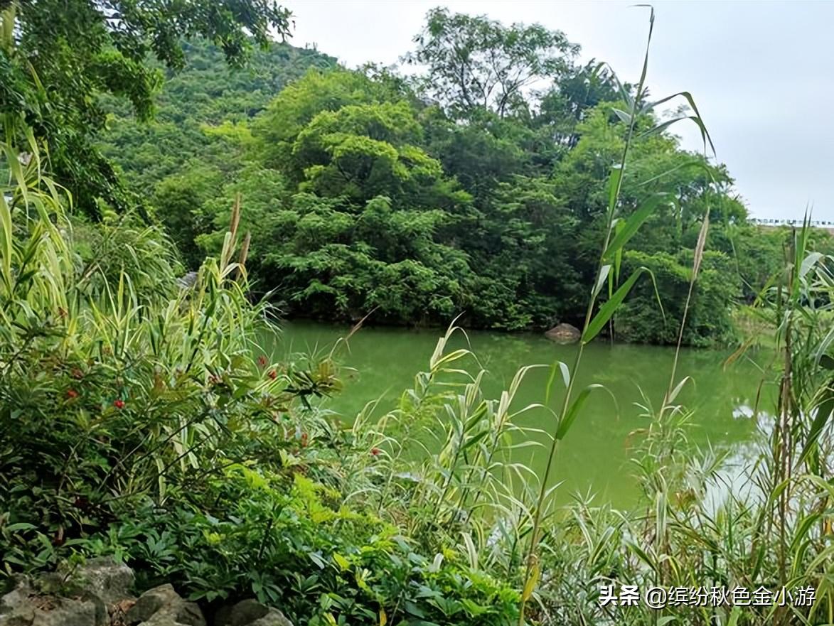 广西柳州有个小而美的公园，很多本地人都不知道，它原是个臭水塘