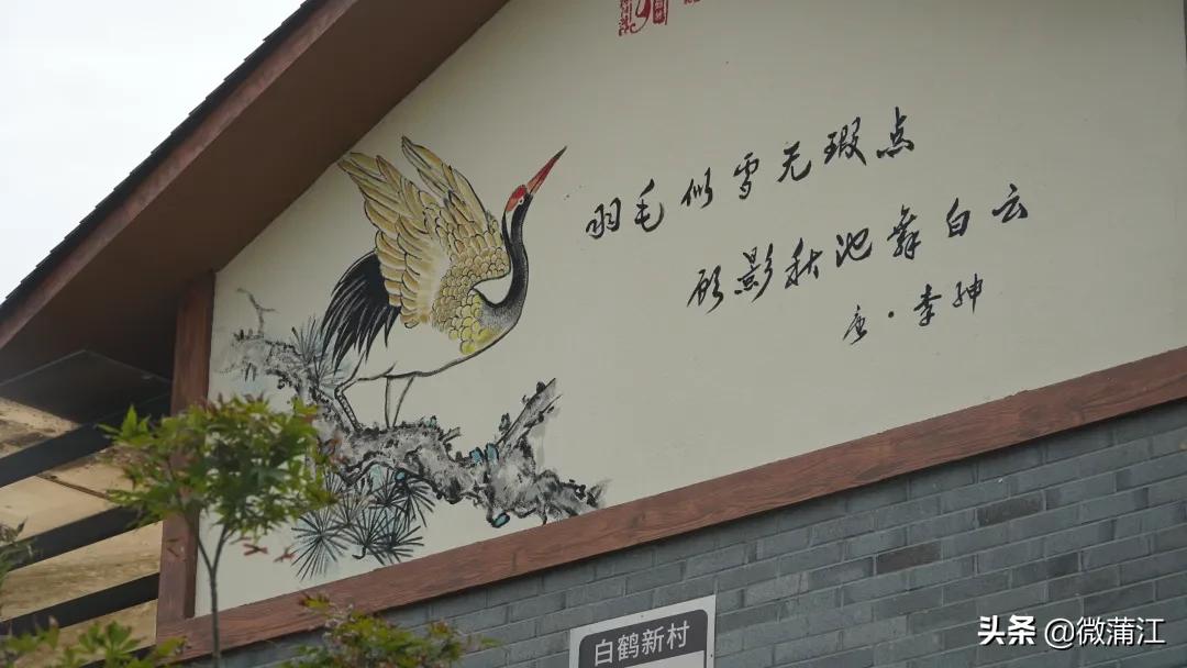 有颜有特色，朝阳湖镇上新啦！