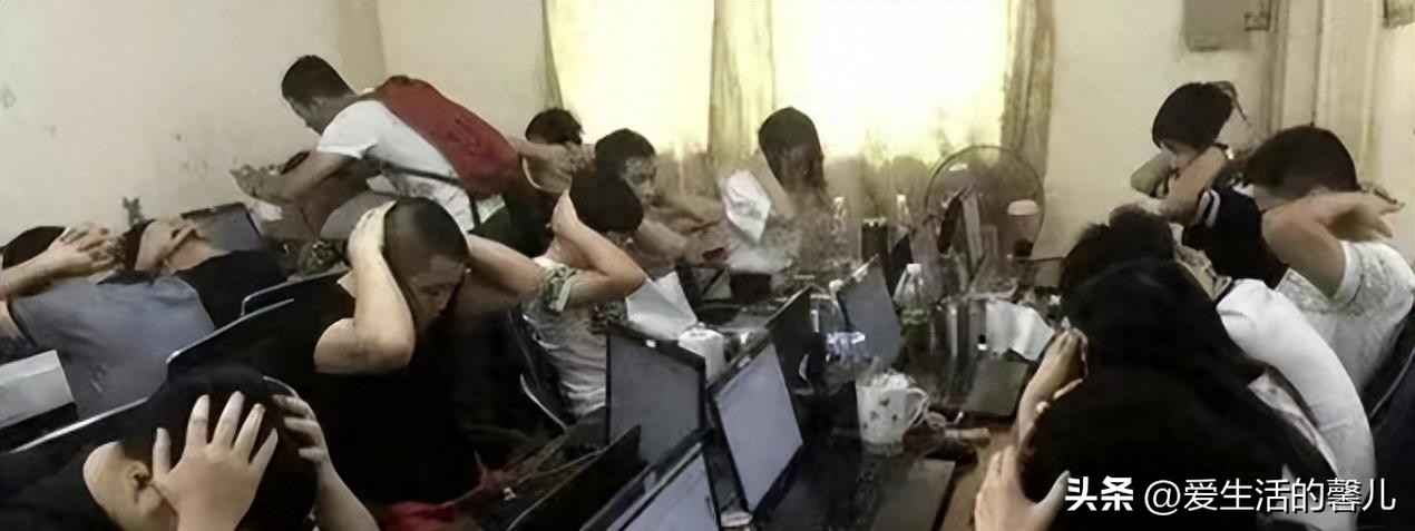 缅北训狗真实事件,缅北训狗场上万女性被困