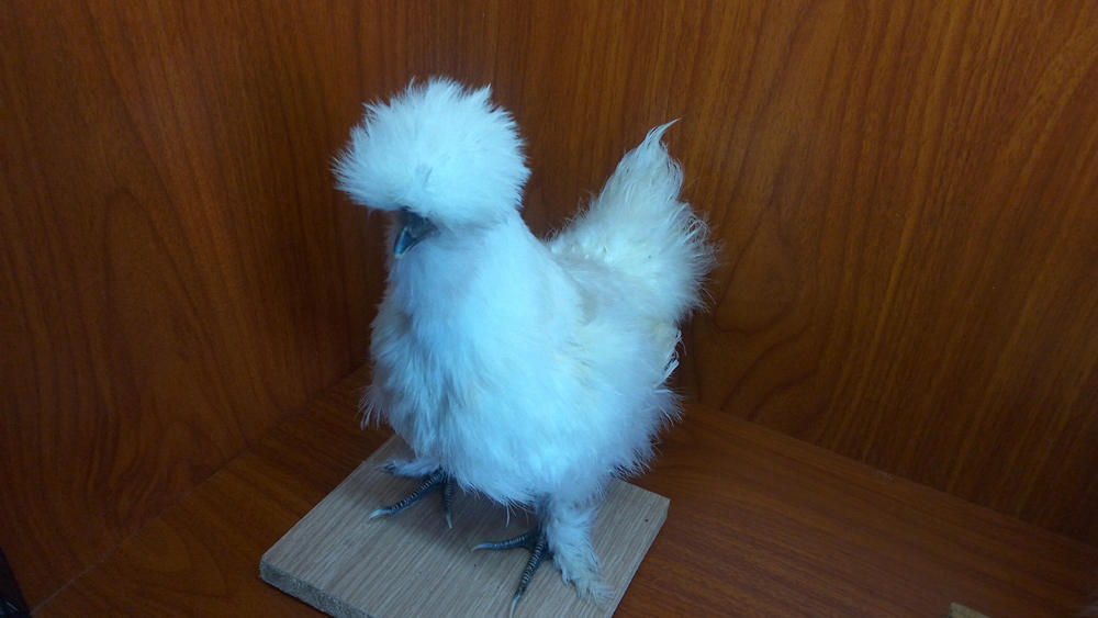 乐视y2pro谁生产,乐视y2pro该不该买