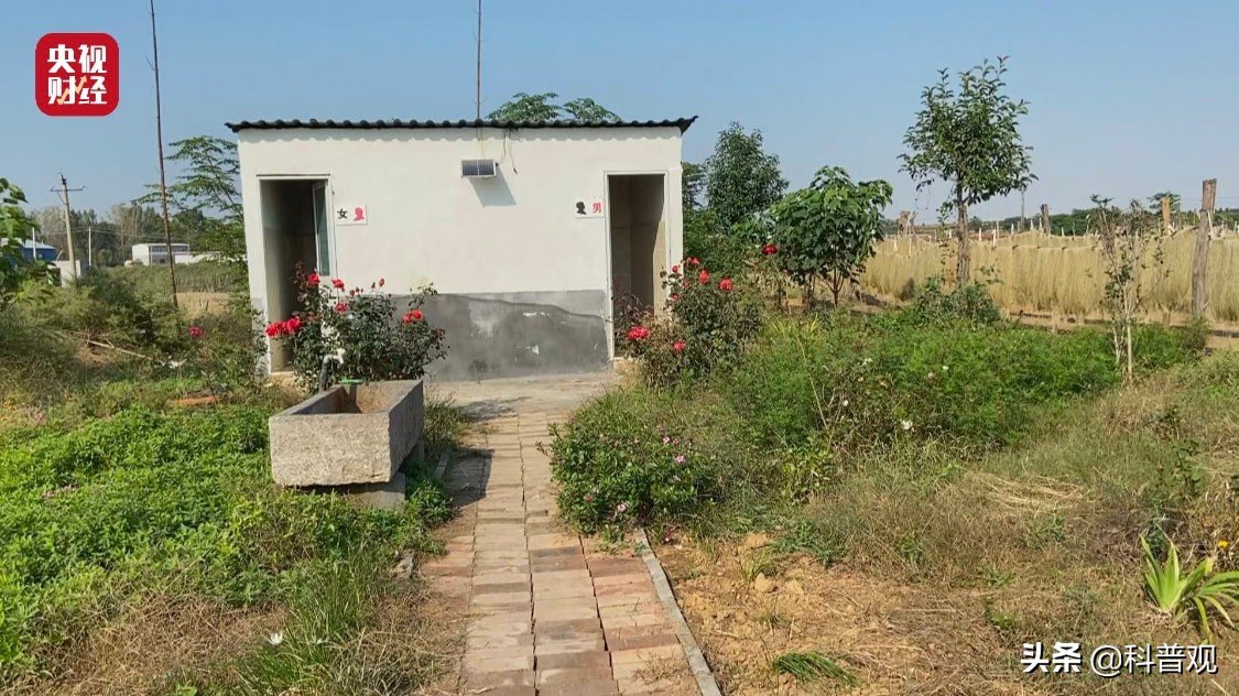 假粉条木薯粉对人身体有啥坏处,红薯粉和木薯粉混合粉条合格吗