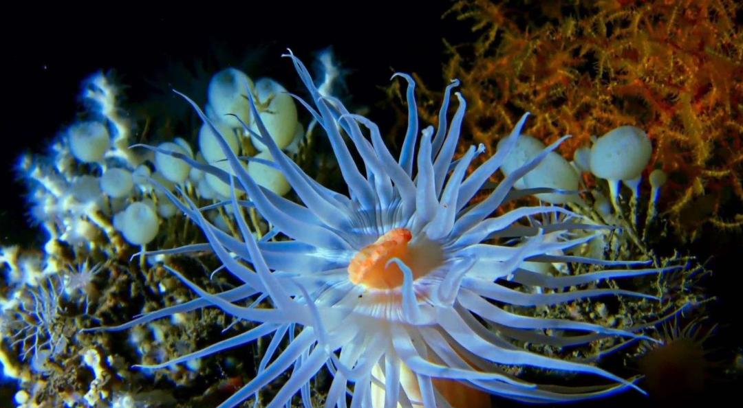 太阳系中只有水球的星球,太阳系中存在液体的星球