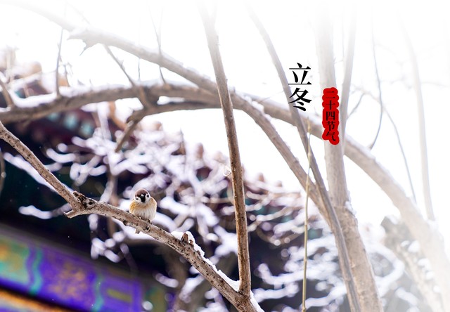 公历农历阴历阳历怎么区分,阳历阴历农历公历的区别