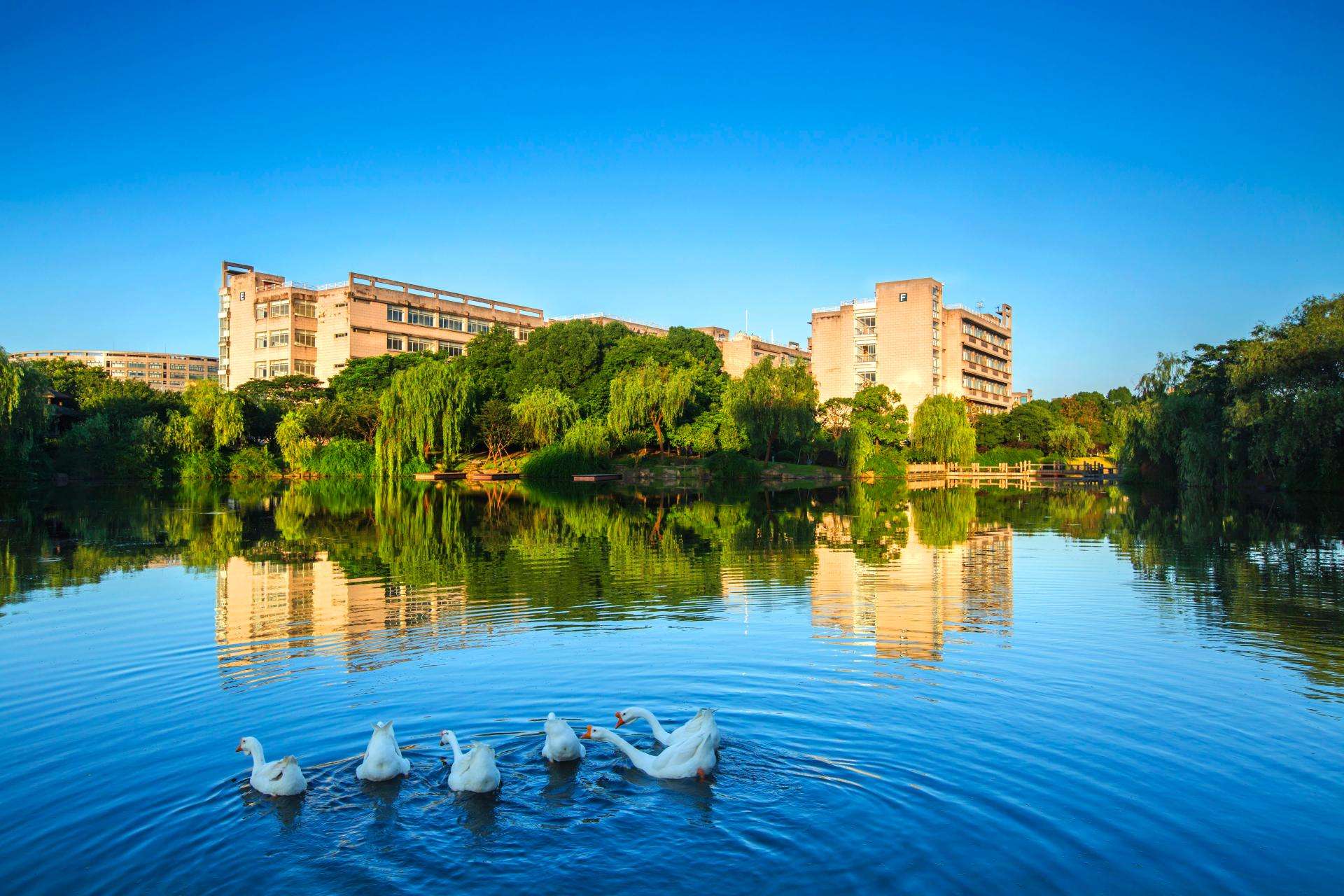 浙江财经大学和上海财经大学比较,浙江财经大学发展怎么样