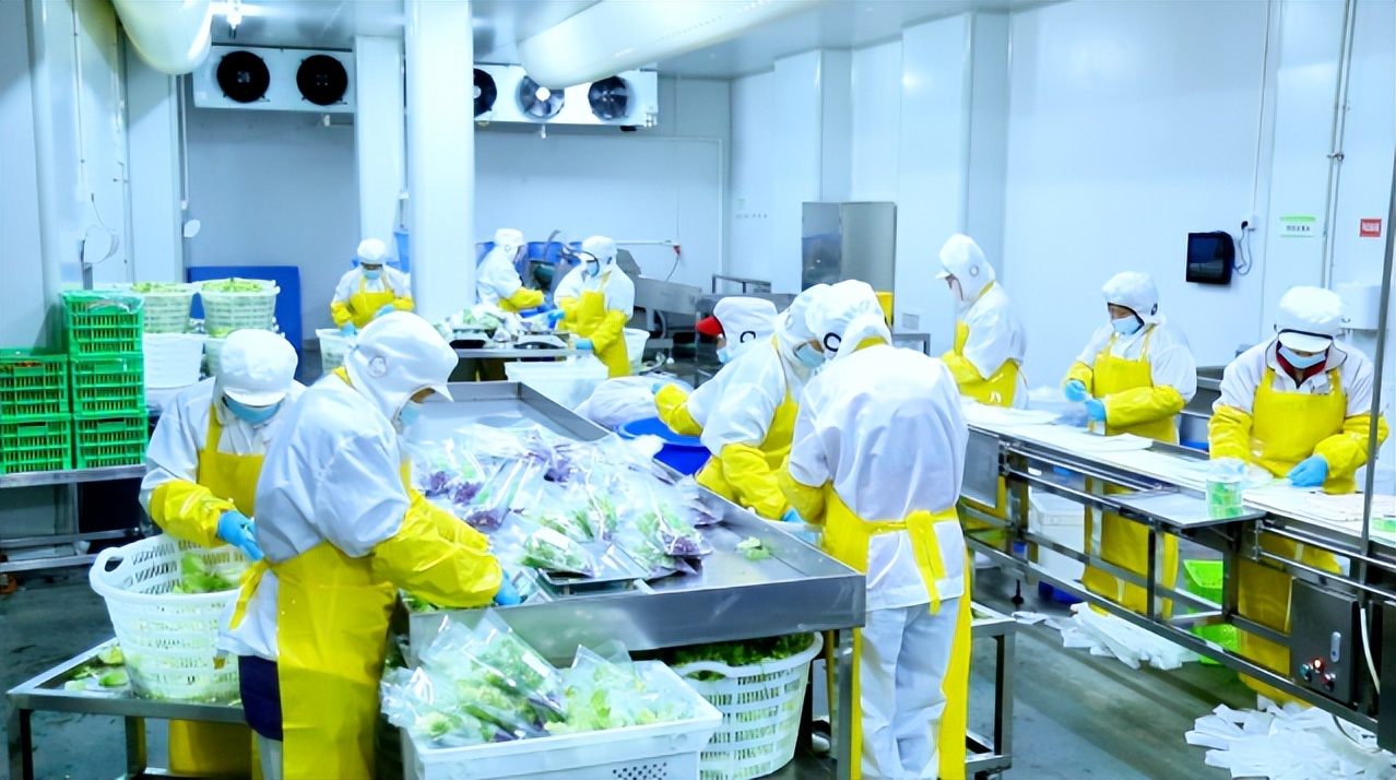 观麦生鲜怎么样,观麦生鲜好做吗