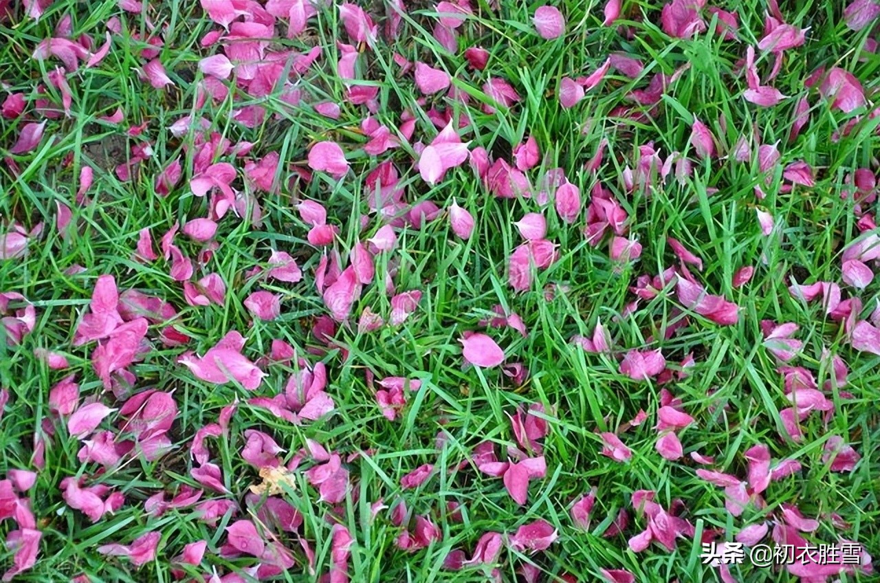 盛唐李白仙意落花五首:愿随夫子天坛上,闲与仙人扫落花