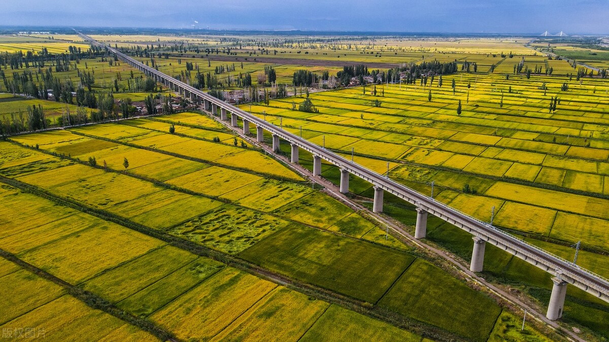 农村最新土地征收补偿标准,农村征田补偿最新政策