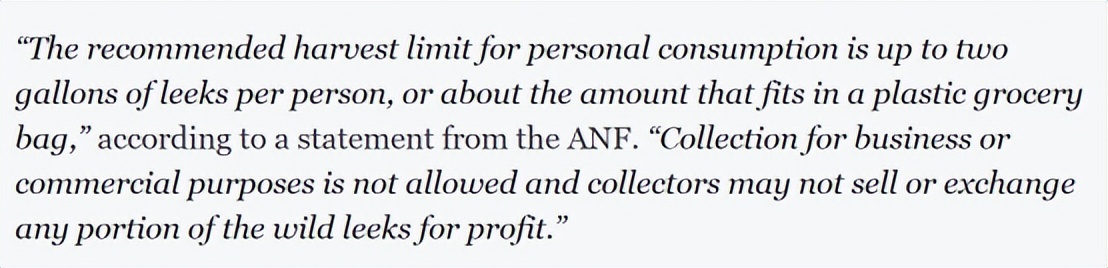 华人美国挖野菜，吃罚单？在纽约是这样挖蕨菜、韭菜、荠菜的