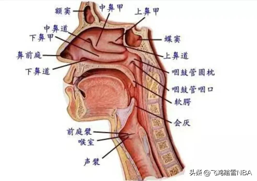 如何区分抑郁症和矫情,怎样区分抑郁症和矫情