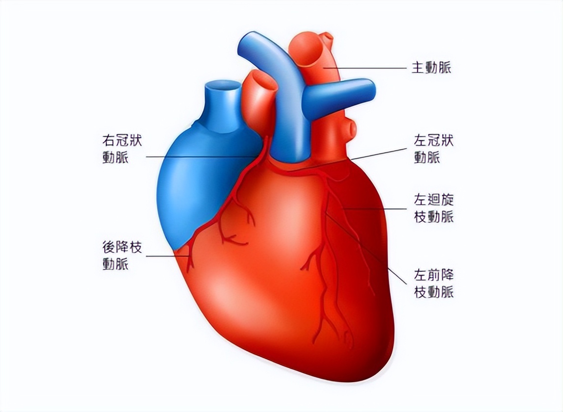 冠心病吃两种中成药效果最好,冠心病心肌缺血需要长期服药吗