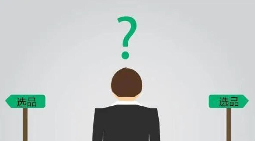 独立站的运营技巧是什么,独立站运营初期看什么数据