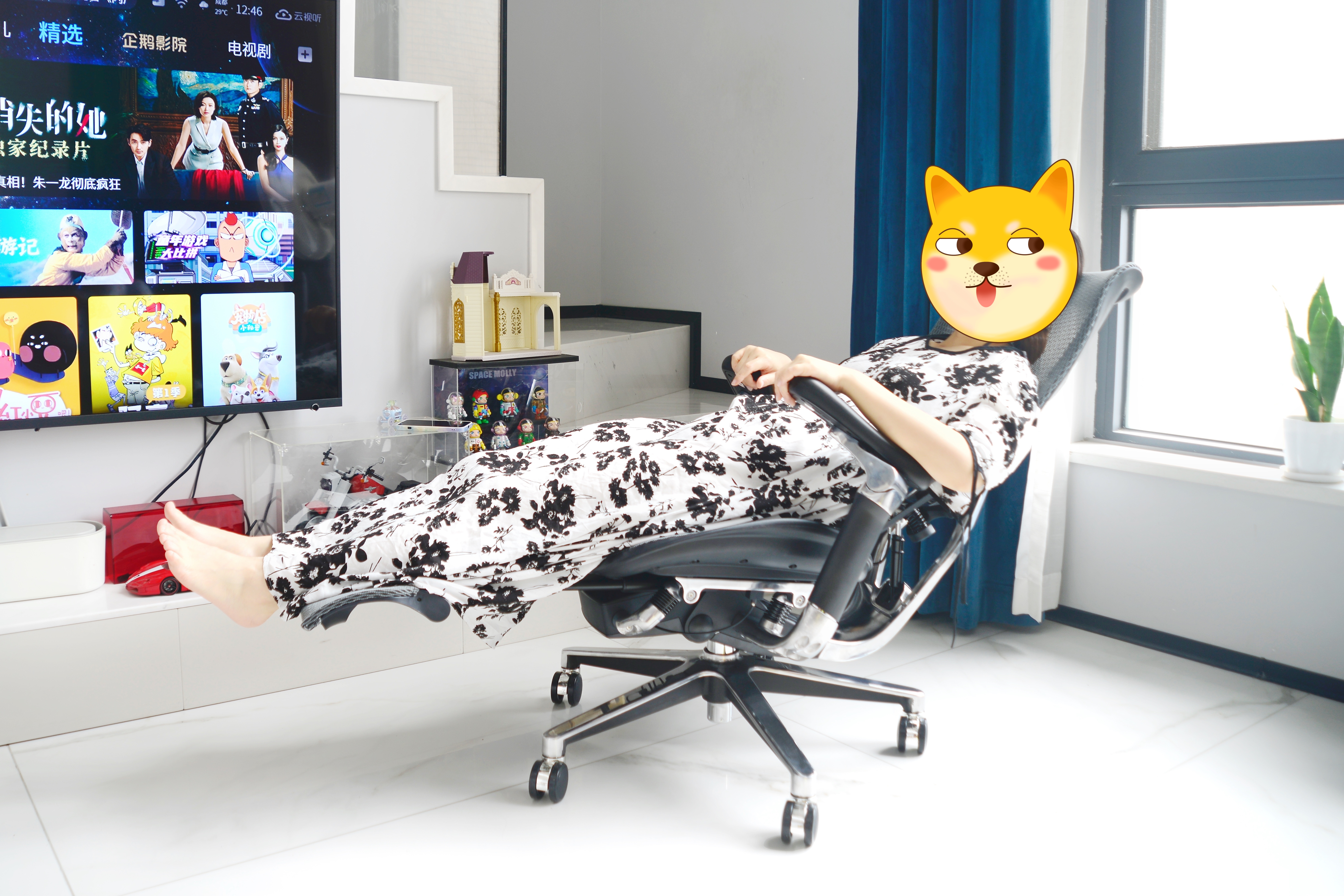 和西昊s300一模一样的椅子,西昊s300和蝴蝶椅