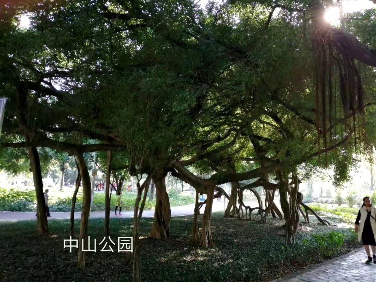 刘顺良《北海印象》