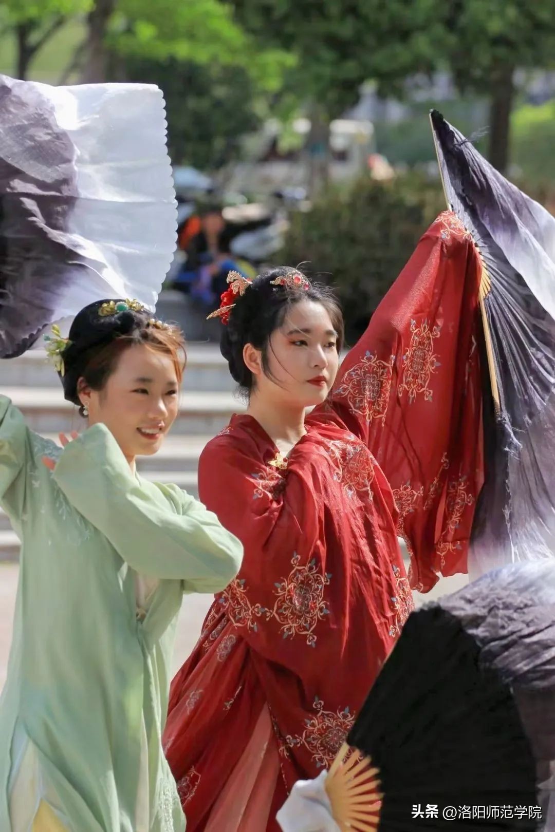 欢迎报考！选择洛师的N个理由