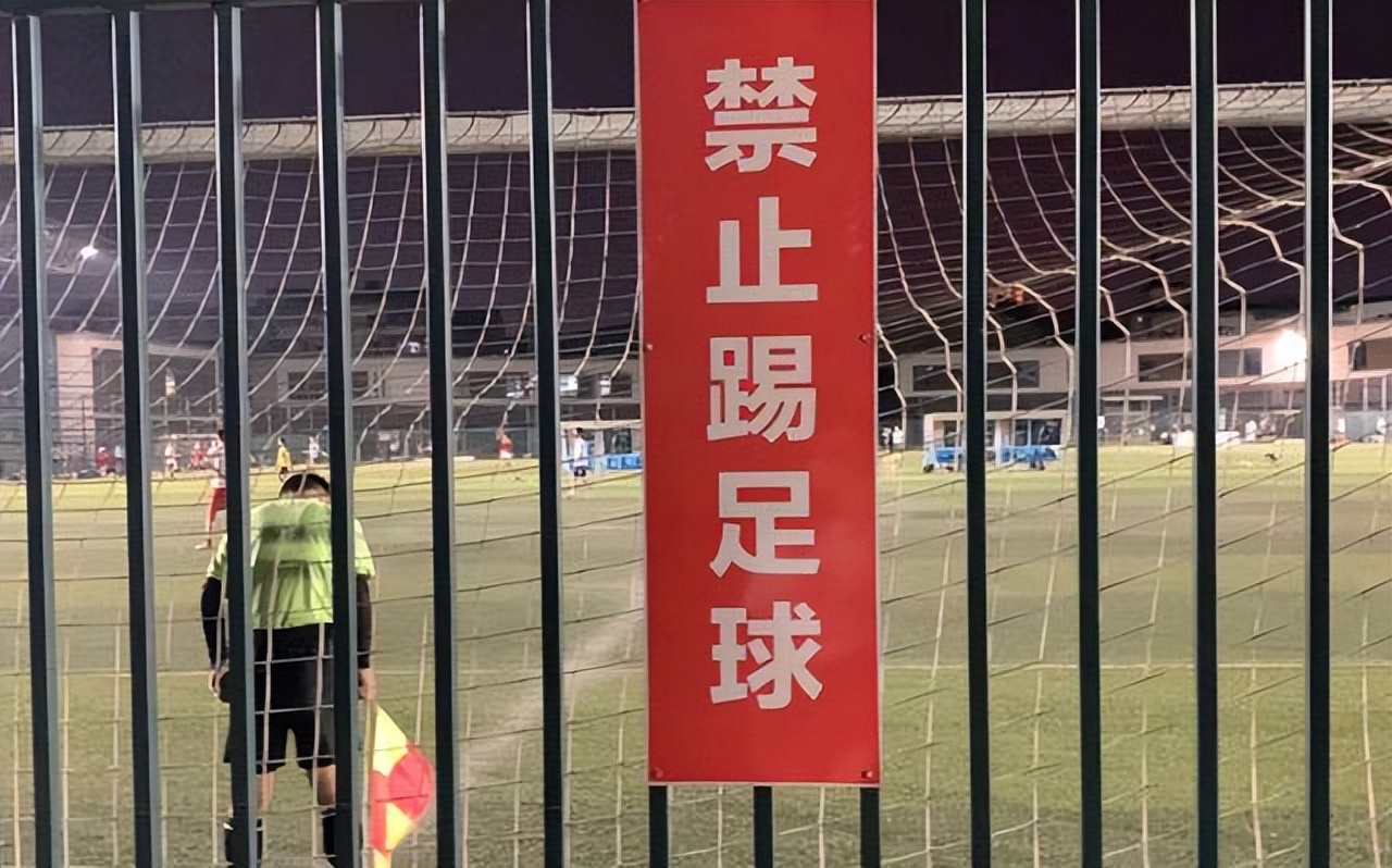 日本2-1击败西班牙队国足感受,德国西班牙日本