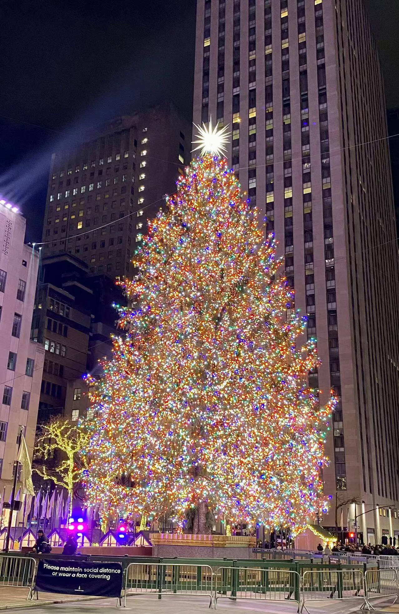 纽约生活在哪个区好,纽约市生活条件怎么样