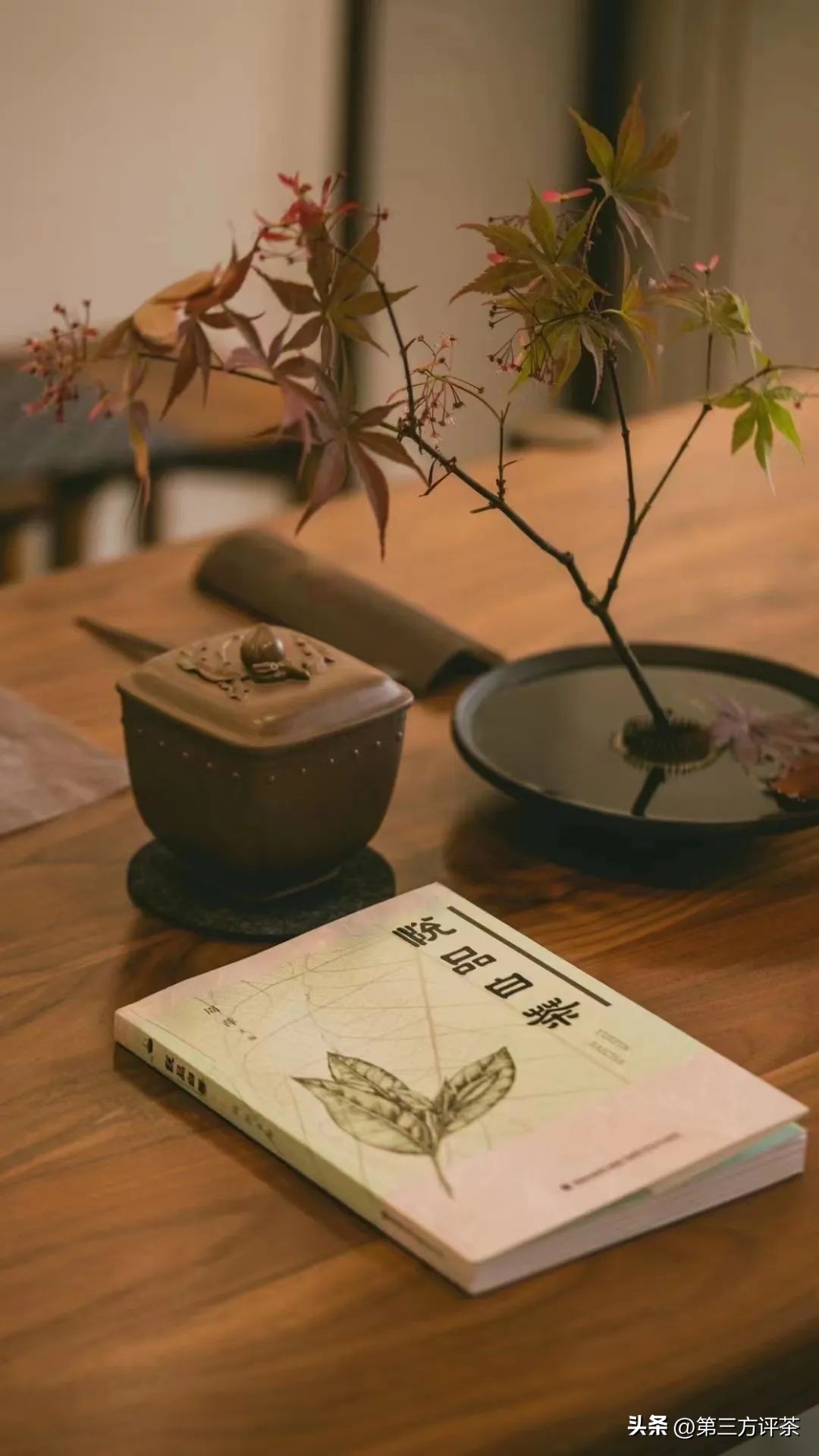 2023年评姐寄语:如种子一般,一生向阳!