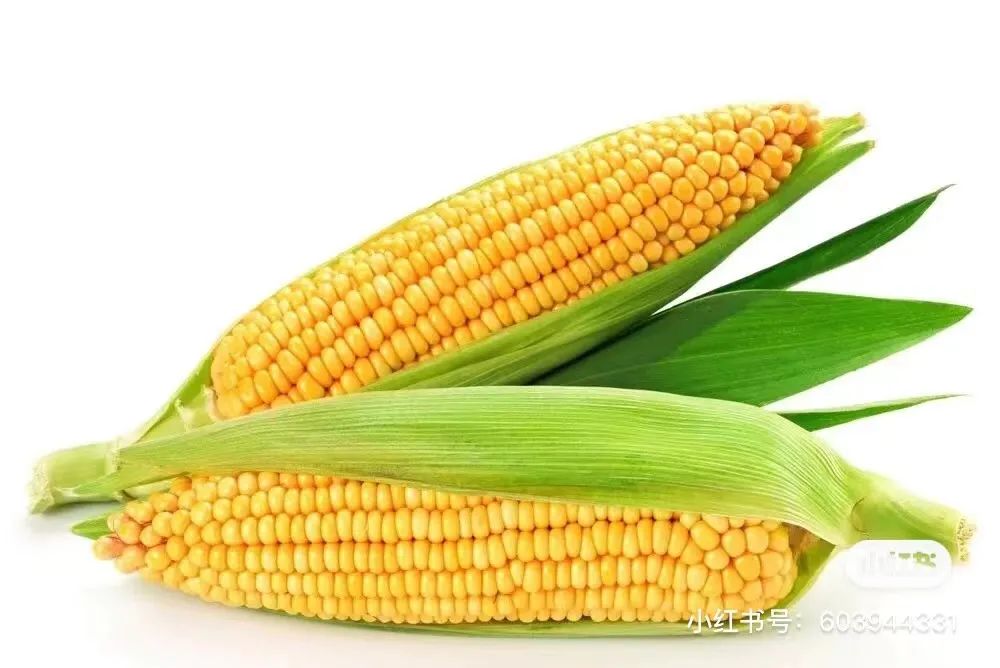 针管笔画线条练习,针管笔黑白装饰画线描