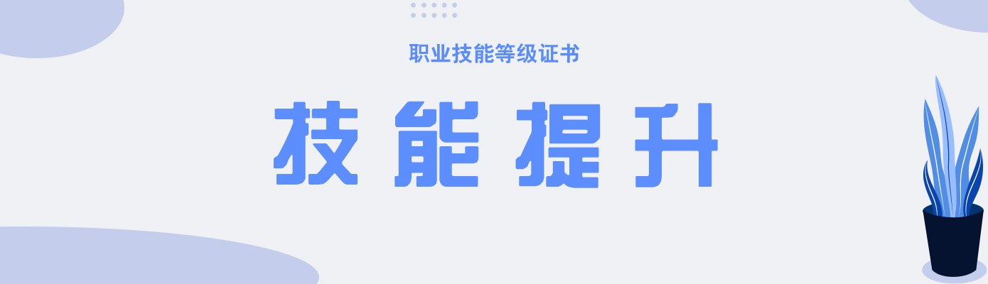 职业技能等级证书如何获取,什么是职业技能培训证书