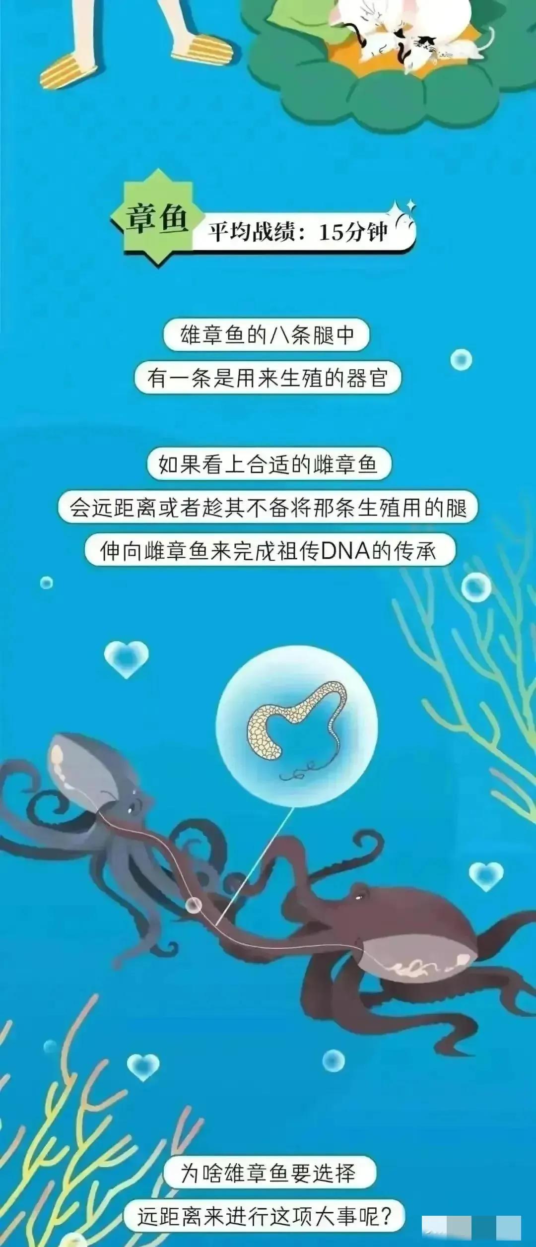 人类受孕时长是多久,人类正常受孕多久