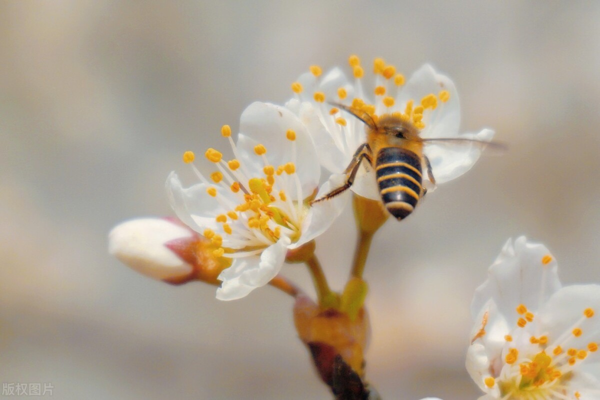 老阿姨给儿子买婚房,60岁阿姨哭诉儿子的婚姻