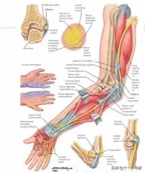 周围神经病和外周神经病,周围神经病