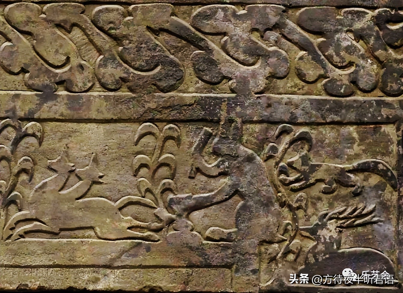 兔年说兔音频,兔年说兔的吉祥话