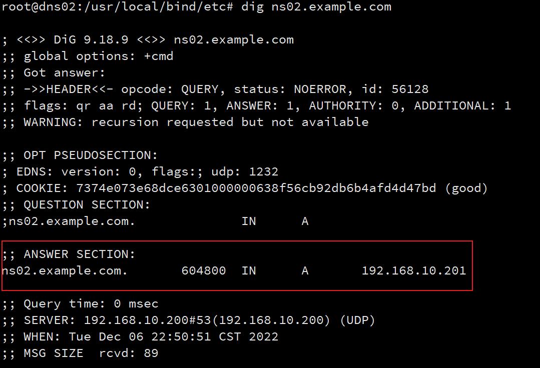 dns项目详细讲解,dns初学笔记