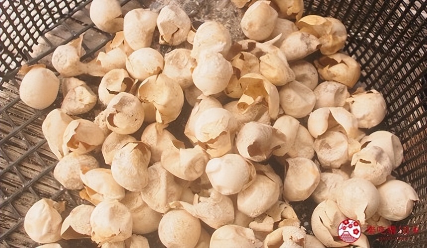 小笠原群岛旅游攻略,日本小笠原诸岛游记