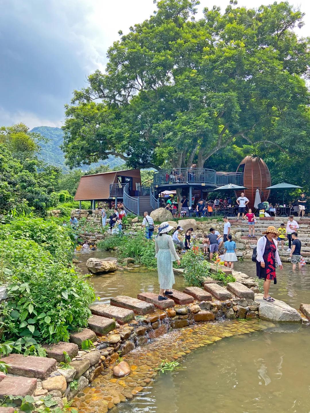 从化东成荷花园,从化摘荔枝之旅