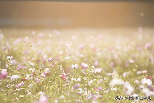 梦见一个人突然去世是什么意思,经常梦见同一个去世的人什么预兆