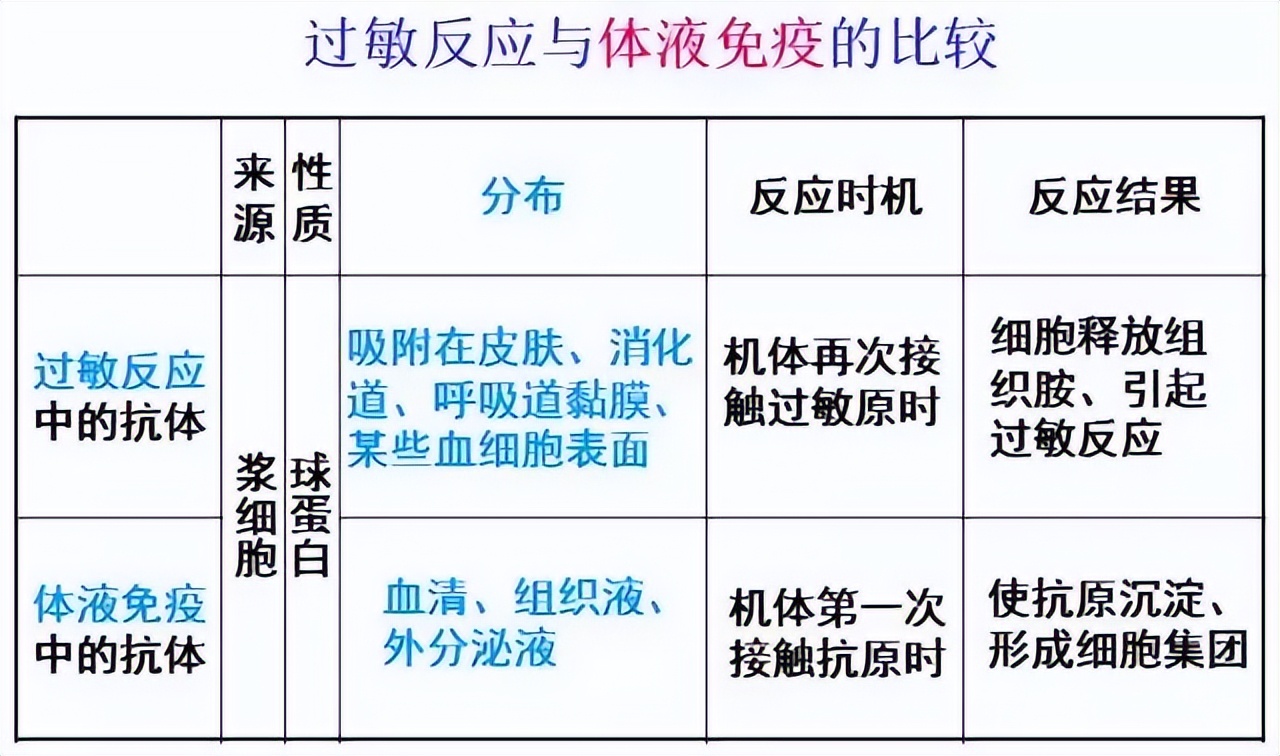 高中生物细胞免疫全知识点视频,生物高中知识点免疫调节