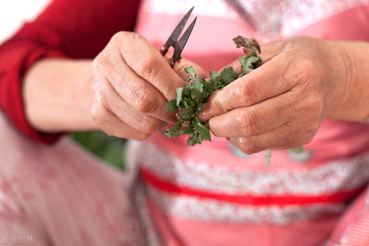 前半生荒唐后半生圆谎61,前半生荒唐后半生圆谎77
