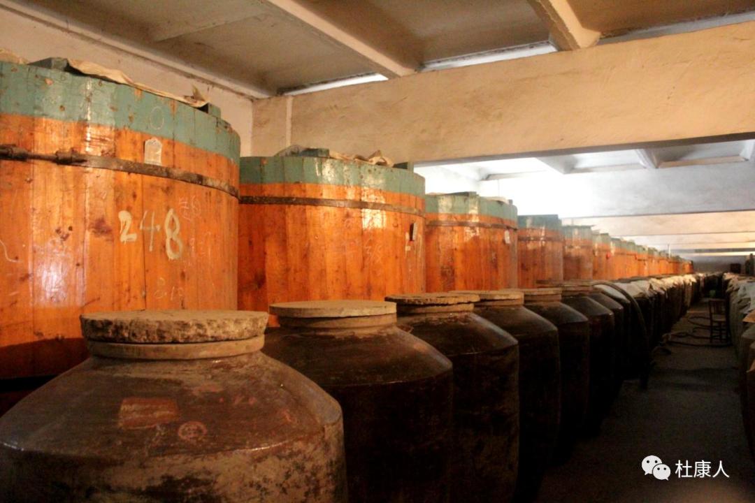 杜康酒厂车间参观,杜康酒厂参观纪念酒品鉴视频