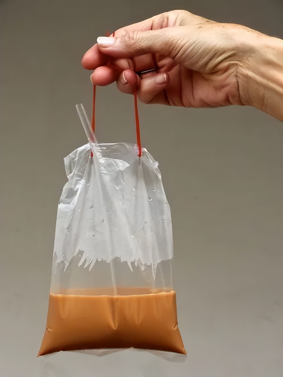 新加坡的特产推荐,新加坡十大特产水果