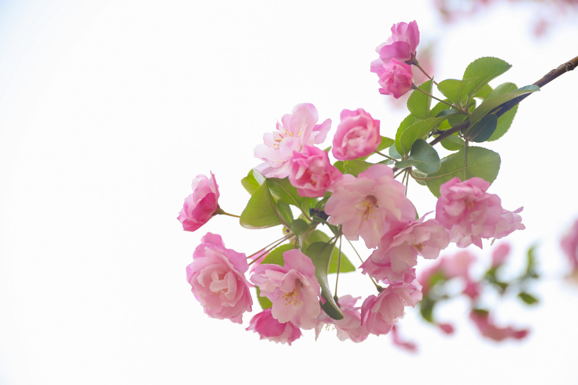 已婚男人婚外遇到真爱的表现,一个理智的男人对待婚外的真爱