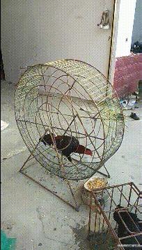 想知道平时的消费在什么价格,想要知道自己什么阶层