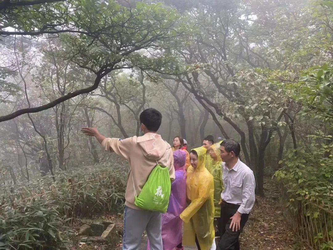 安徽人游安徽,安徽人游中国