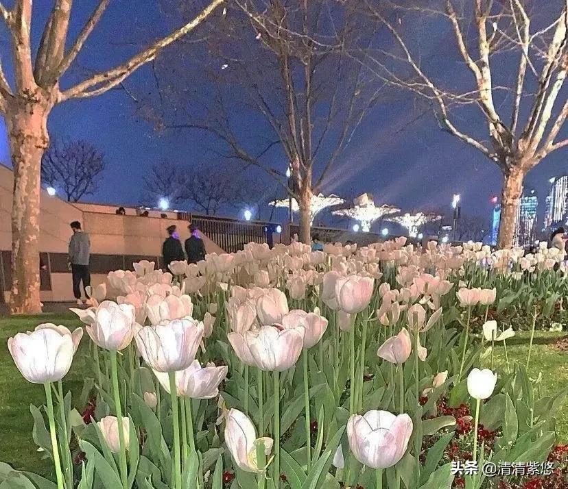 人民日报金句积累奋斗,人民日报100句金言