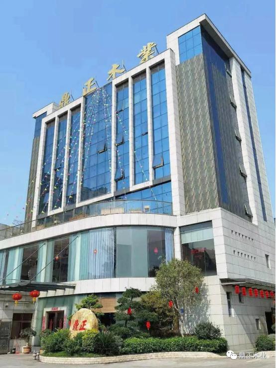 鼎正木业将携高品质进口木材，亮相2022青岛第19届国际家具展