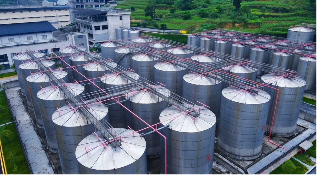 广东人适合喝的茅台,广东喝酒特色