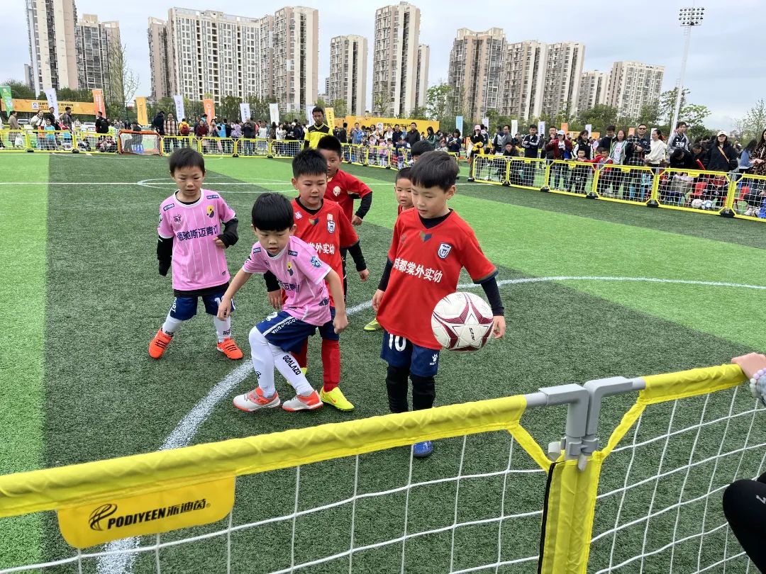 派迪茵体育有限公司,派迪茵体育股份有限公司