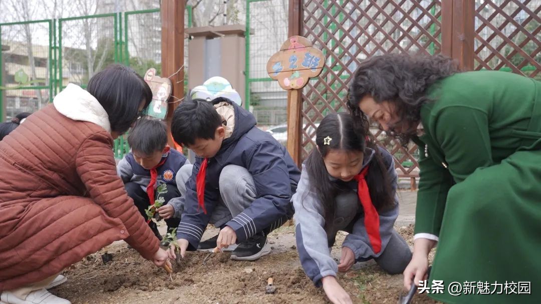 劳动创造幸福创意活动小学,劳动创造美好生活小学活动
