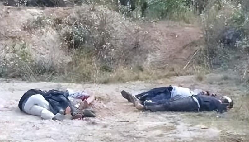 百万网红雅典娜现身缅北训狗营,缅北训狗场被救女孩真实采访