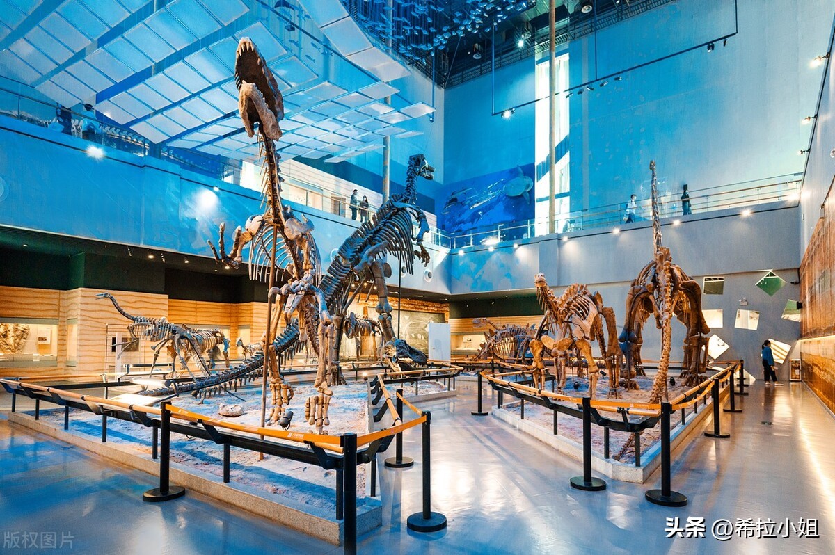 广州最值得去的景点旅游攻略,旅游攻略广州必去的六大景点