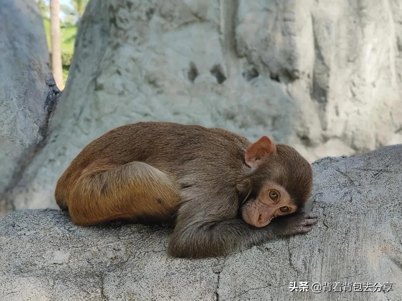 海南岛旅游十大必去景点,海南岛自由行必去的十大景点