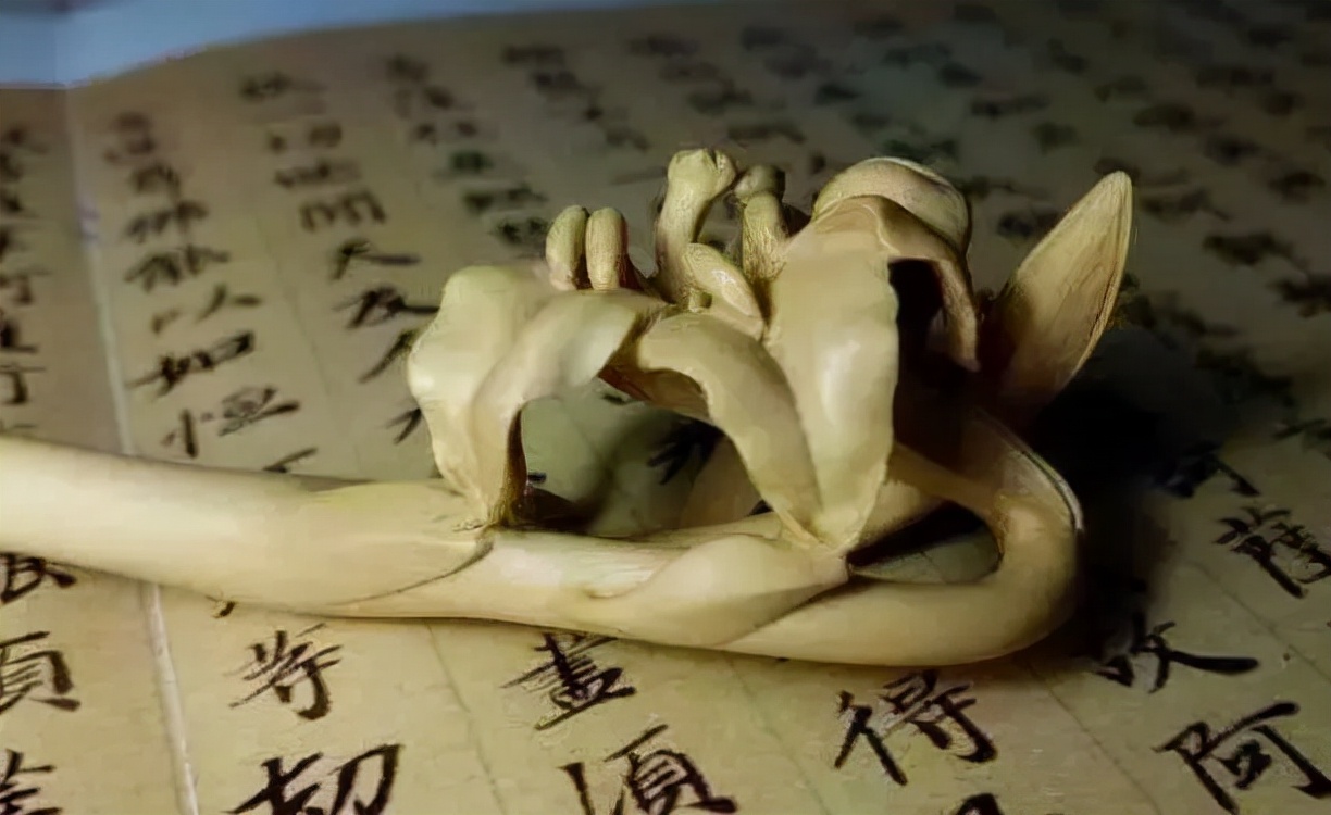 佛手雕件的寓意和象征,西兰花雕件寓意和象征什么